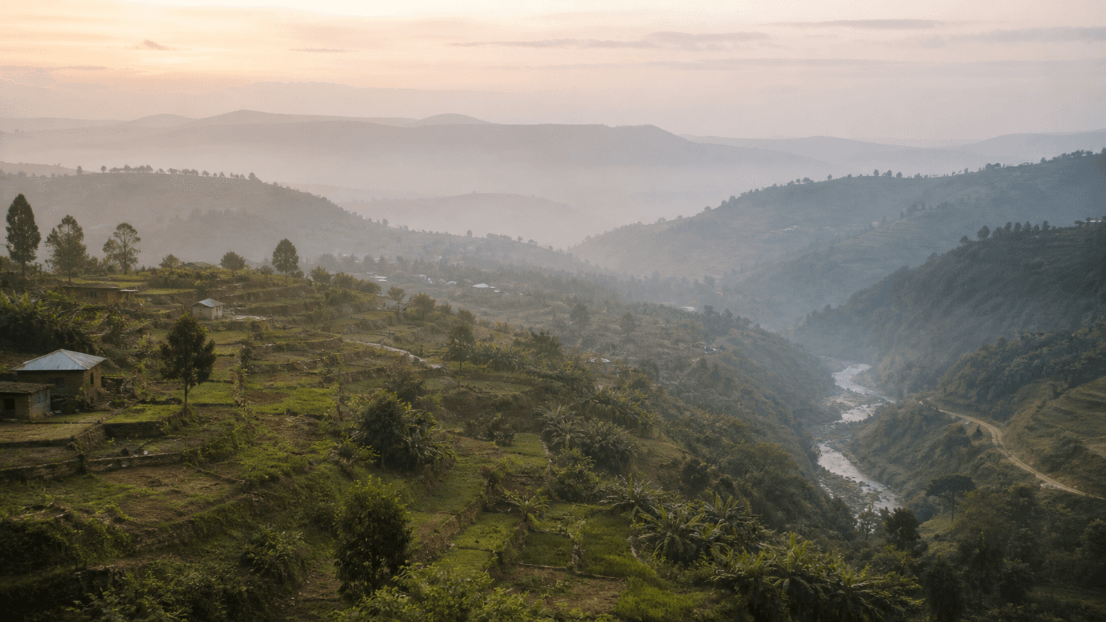 Terraced smallholdings and the Ngeta valley at first light in the Nyakura Highlands